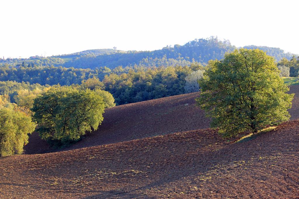 Agriturismo Santa Maria Vila Torrita di Siena Exterior foto