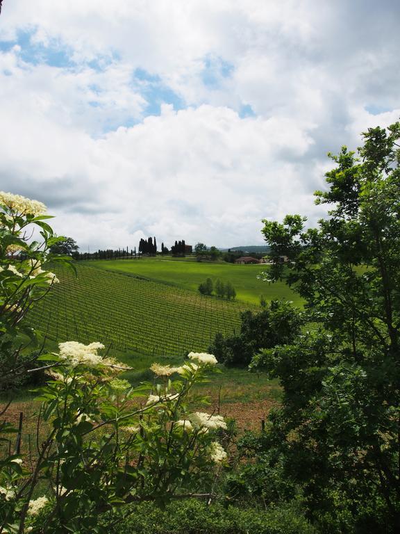 Agriturismo Santa Maria Vila Torrita di Siena Exterior foto